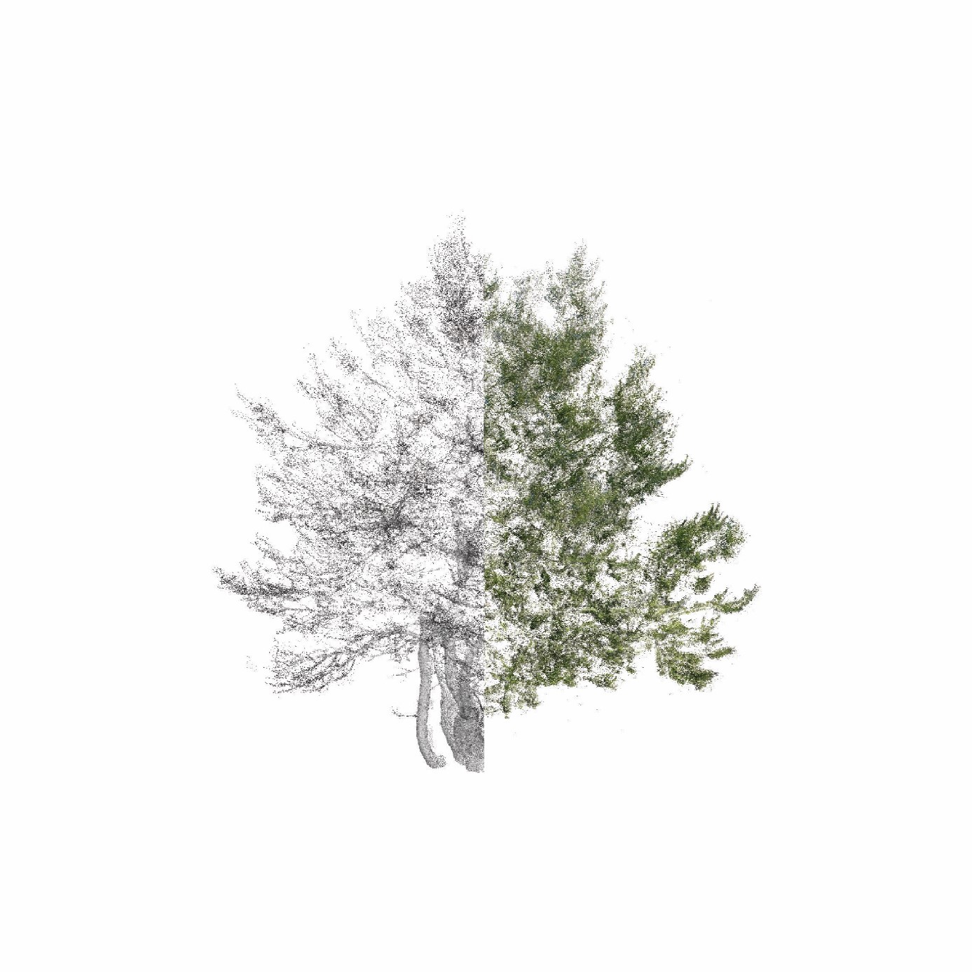 Building Green Decarbonization for Urban Digital Twin – Estimating Carbon Sequestration of Urban Trees by Allometric Equations using Blend Types of Point Cloud