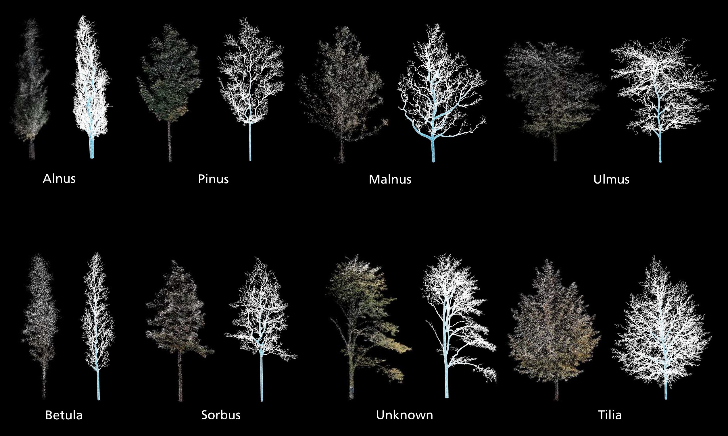 Neural Network-Driven Synthesis of 3D Urban Tree 
Advancing Carbon Mitigation Simulations through Precise Tree Model Generation from Point Clouds